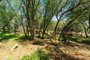 3924 Pine Cone Dr, Rescue, CA 95672 - Photo 21