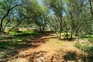 3924 Pine Cone Dr, Rescue, CA 95672 - Photo 27