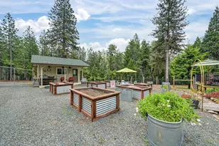 29082 Ridge View Rd, Foresthill, CA 95631 - Photo 51