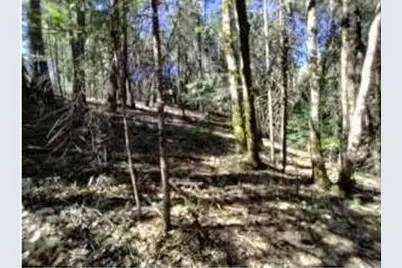 13928 Manion Canyon Road, Grass Valley, CA 95945 - Photo 3