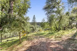 5025 Lafaille Ln, Greenwood, CA 95635 - Photo 81