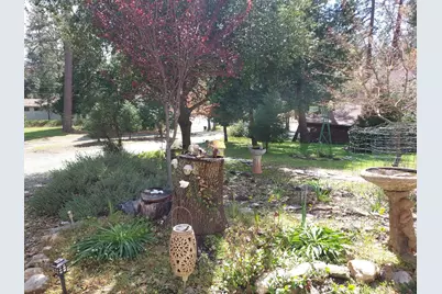 19390 Ferretti Road, Groveland, CA 95321 - Photo 5