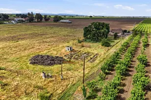 20042 N Ray Rd, Lodi, CA 95242 - Photo 49