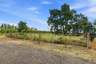 20042 N Ray Rd, Lodi, CA 95242 - Photo 55
