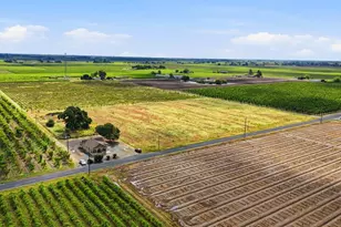 20042 N Ray Rd, Lodi, CA 95242 - Photo 53