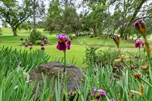 11775 Lake Wildwood Dr, Penn Valley, CA 95946 - Photo 65