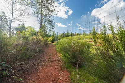 10571 Sebastopol Road, North San Juan, CA 95960 - Photo 27