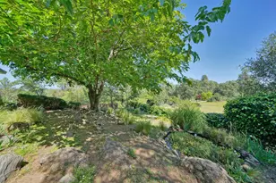 3350 La Vista Dr, Placerville, CA 95667 - Photo 43