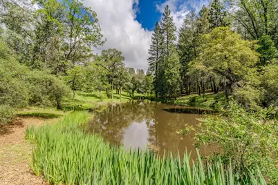 19351 Fiddletown Road, Fiddletown, CA 95629 - Photo 5