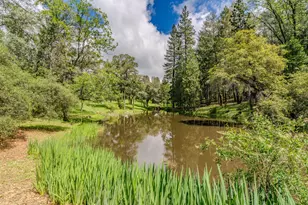 19351 Fiddletown Rd, Fiddletown, CA 95629 - Photo 5