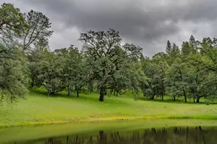 19351 Fiddletown Rd, Fiddletown, CA 95629 - Photo 43