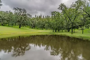 19351 Fiddletown Rd, Fiddletown, CA 95629 - Photo 7