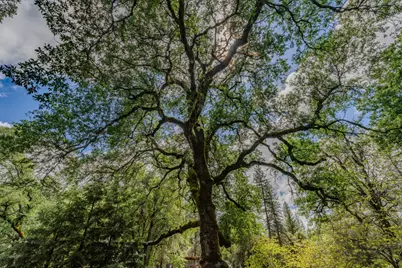 19351 Fiddletown Road, Fiddletown, CA 95629 - Photo 51