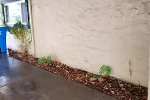 533 Reeves Ave, Yuba City, CA 95991 - Photo 13