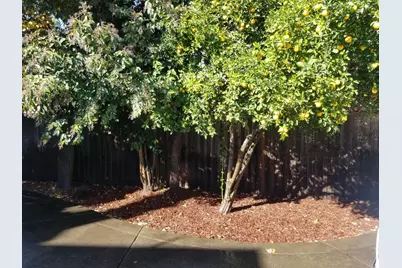533 Reeves Avenue, Yuba City, CA 95991 - Photo 15