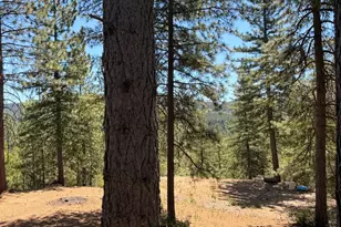 115 Main St, Gold Run, CA 95717 - Photo 77