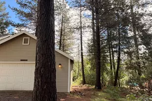 115 Main St, Gold Run, CA 95717 - Photo 21