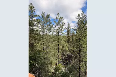 115 Main Street, Gold Run, CA 95717 - Photo 11