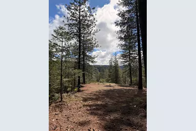 115 Main Street, Gold Run, CA 95717 - Photo 11