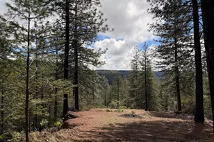115 Main St, Gold Run, CA 95717 - Photo 11