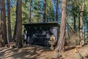 24985 Shake Ridge Rd, Volcano, CA 95689 - Photo 25