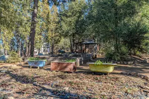 24985 Shake Ridge Rd, Volcano, CA 95689 - Photo 13