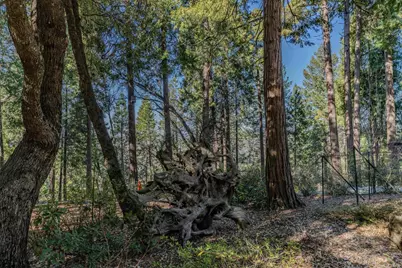 24985 Shake Ridge Road, Volcano, CA 95689 - Photo 81