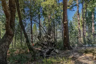 24985 Shake Ridge Rd, Volcano, CA 95689 - Photo 81