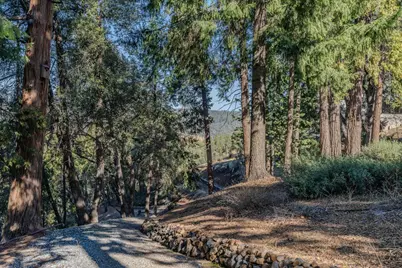 24985 Shake Ridge Road, Volcano, CA 95689 - Photo 75
