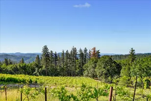 19698 View Forever Ln, Grass Valley, CA 95945 - Photo 21
