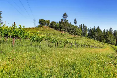 19698 View Forever Lane, Grass Valley, CA 95945 - Photo 27