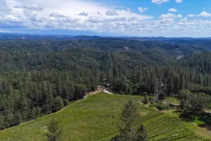 19698 View Forever Ln, Grass Valley, CA 95945 - Photo 15