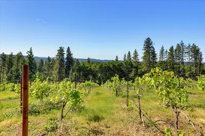 19698 View Forever Lane, Grass Valley, CA 95945 - Photo 25
