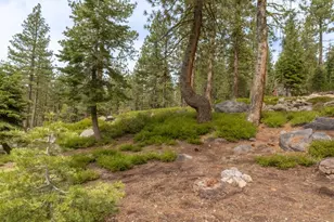 1379 Alpine Vista, Arnold, CA 95223 - Photo 37