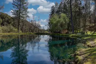 409 Live Oak Rd, Colfax, CA 95713 - Photo 65
