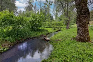 409 Live Oak Rd, Colfax, CA 95713 - Photo 69