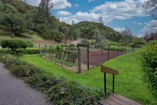 409 Live Oak Rd, Colfax, CA 95713 - Photo 53