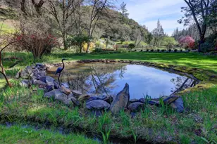 409 Live Oak Rd, Colfax, CA 95713 - Photo 7