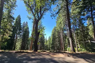 3224 York Ct, Pollock Pines, CA 95726 - Photo 1