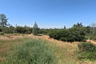 21665 Manton School Rd, Manton, CA 95662 - Photo 29