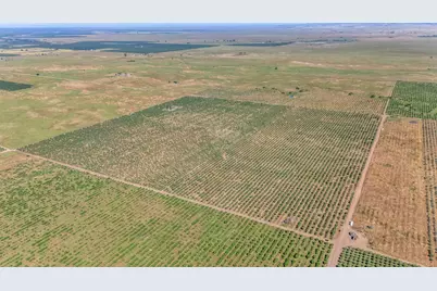 0 Buchanan Hollow Rd, Le Grand, CA 95333 - Photo 7