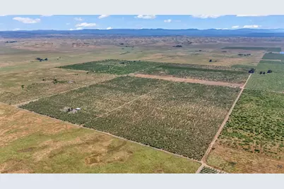 0 Buchanan Hollow Rd, Le Grand, CA 95333 - Photo 11