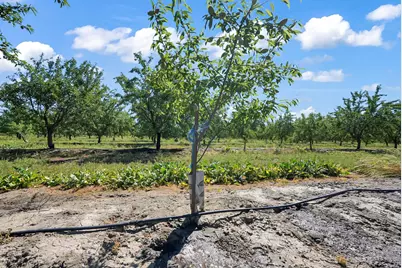 0 Buchanan Hollow Rd, Le Grand, CA 95333 - Photo 1