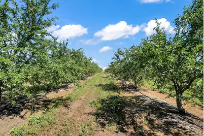 0 Buchanan Hollow Rd, Le Grand, CA 95333 - Photo 3