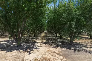 1415 St Francis Ave, Modesto, CA 95356 - Photo 45