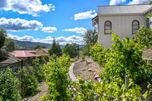 616 Selkirk Ranch, Angels Camp, CA 95222 - Photo 59