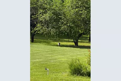 Calgary Avenue, Sacramento, CA 95841 - Photo 31