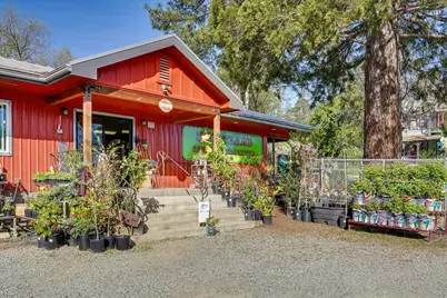 29435 State Highway 49, North San Juan, CA 95960 - Photo 3