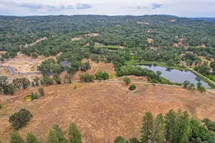 16390 Ridge Rd, Jackson, CA 95642 - Photo 77