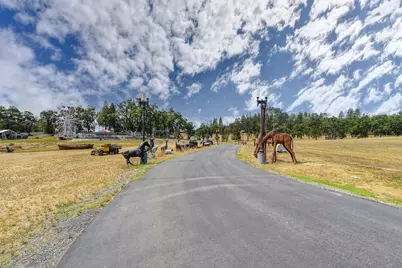 16390 Ridge Road, Jackson, CA 95642 - Photo 9